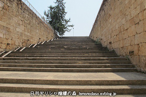 c0010496_22383333.jpg