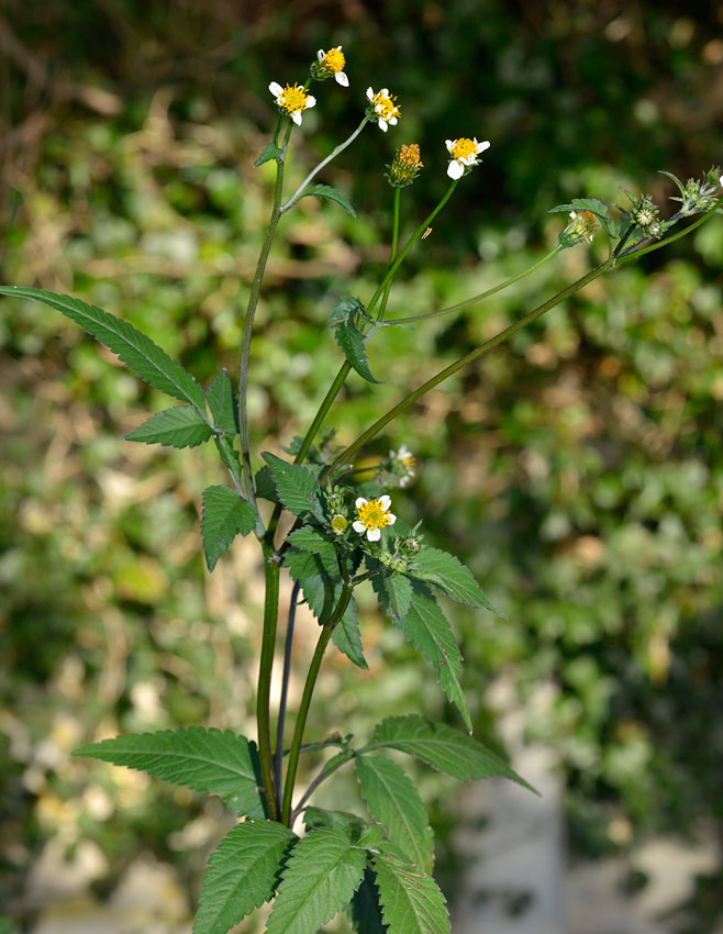 d0163696_2359050.jpg