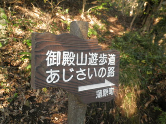 b0055202_20544727.jpg