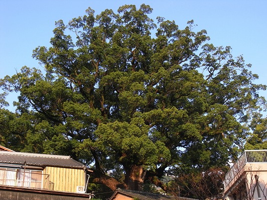 f0187402_20394712.jpg