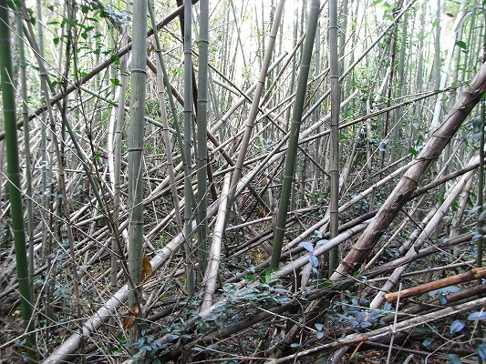 f0187402_2041109.jpg