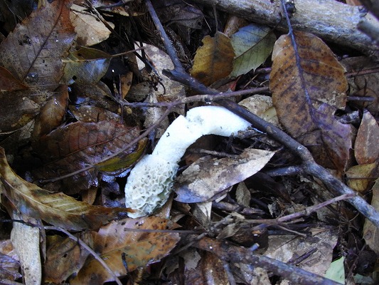 f0187402_20411849.jpg