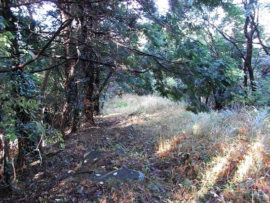 f0187402_2041226.jpg