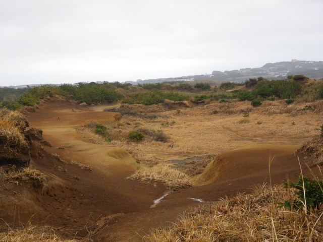 a0116205_11215937.jpg