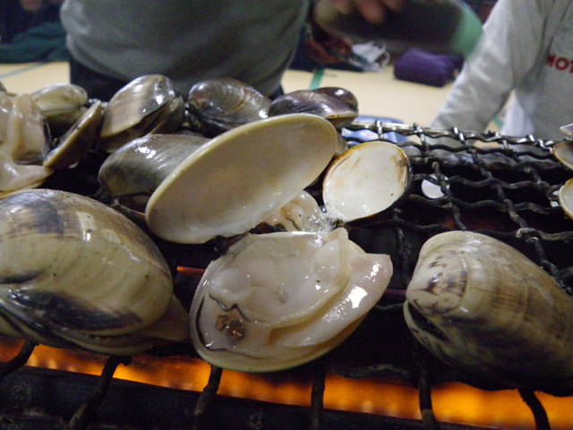 a0116205_11234043.jpg