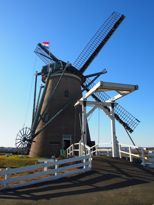 a0185007_20164967.jpg