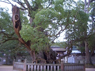 c0030112_2237080.jpg
