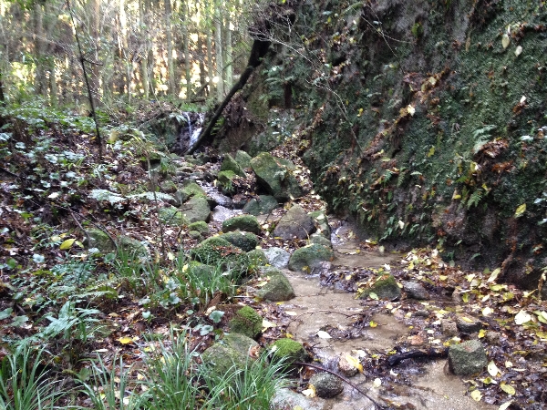 e0002314_2021485.jpg