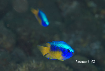 b0164920_2346235.jpg