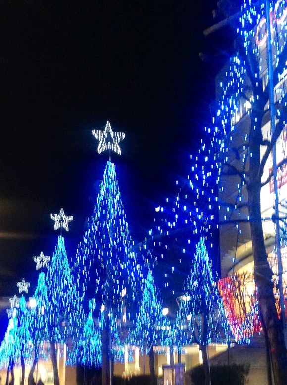 b0203925_1937844.jpg