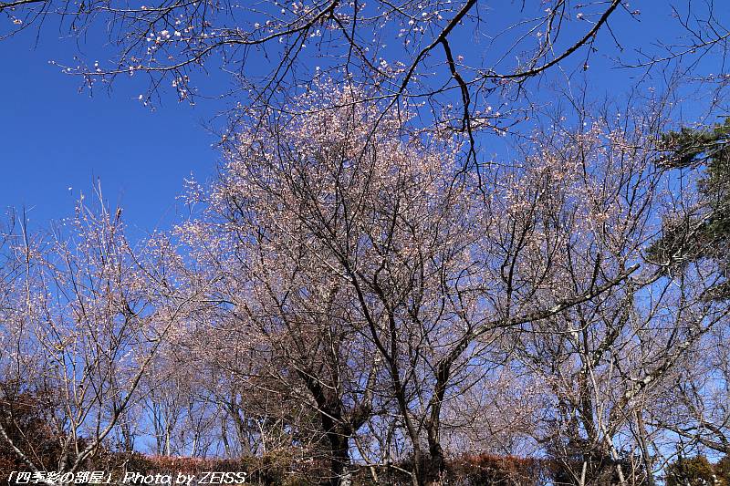 a0195032_22514423.jpg
