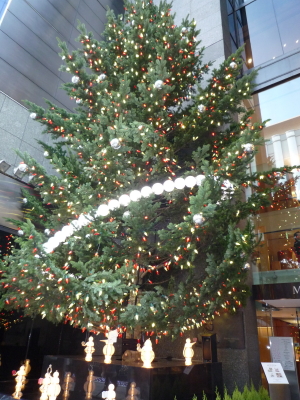 f0214837_1958882.jpg