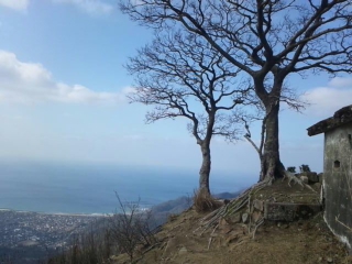 c0077338_11133797.jpg