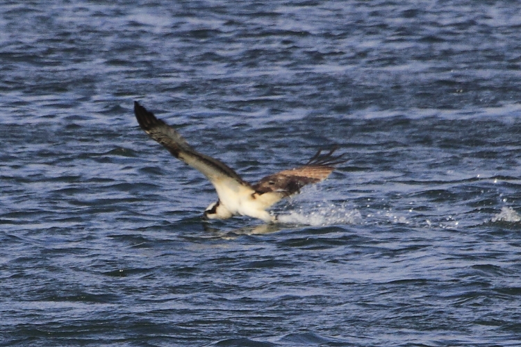 d0247340_2011690.jpg