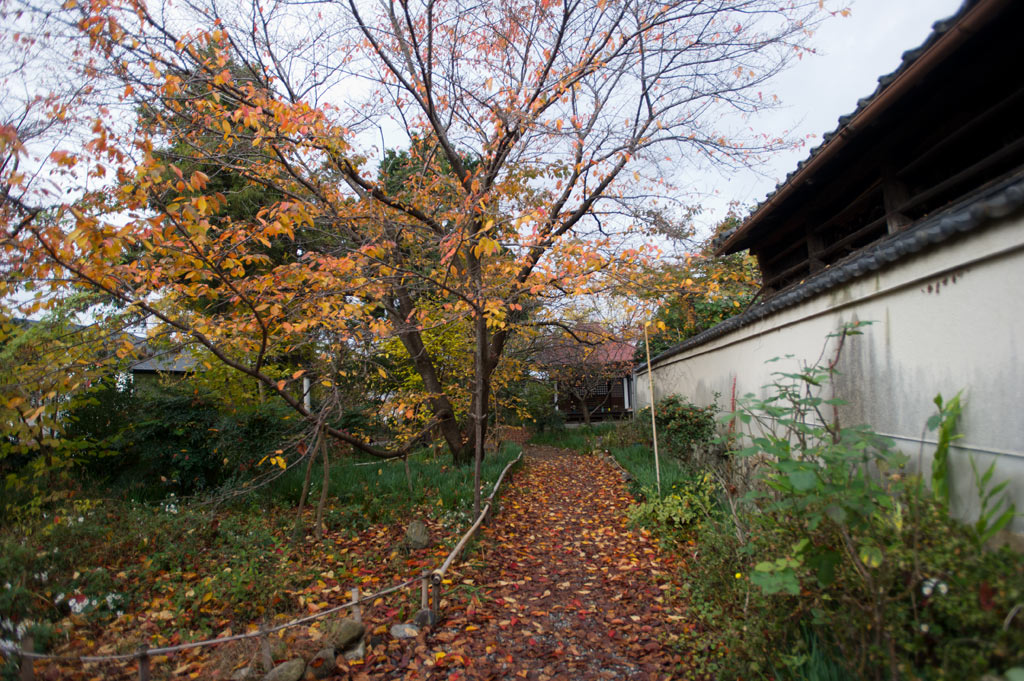 b0023047_735210.jpg