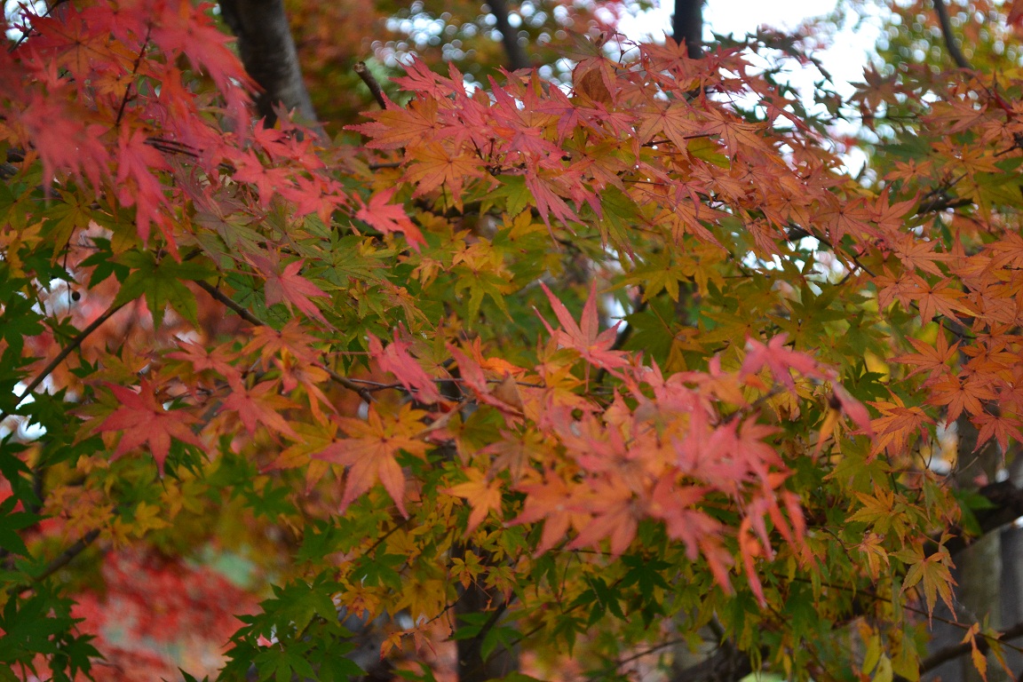 a0055650_9203214.jpg