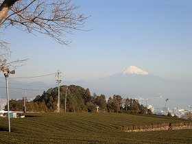 d0138650_2326852.jpg