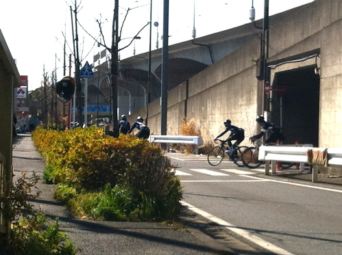 e0154650_1754043.jpg