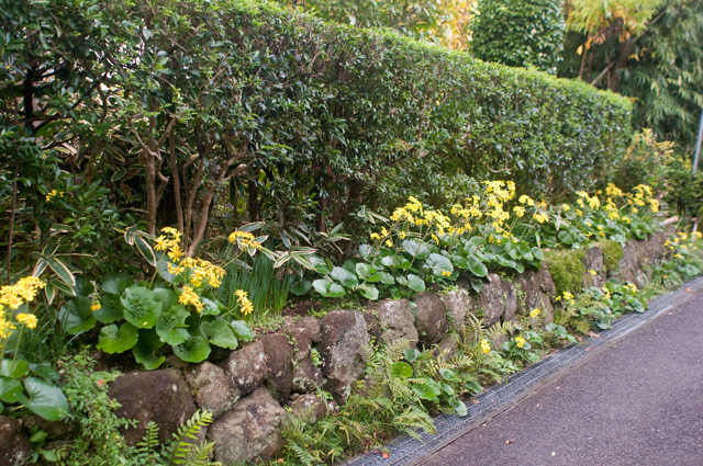 f0176458_1148470.jpg