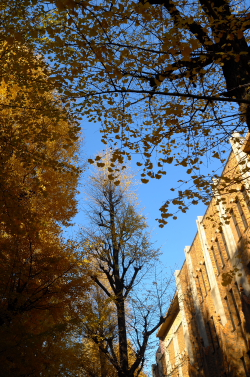 f0214858_21311174.jpg