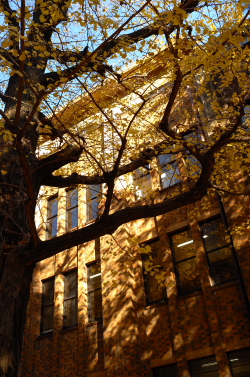 f0214858_2134448.jpg