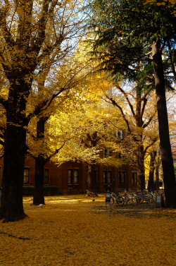 f0214858_2135940.jpg