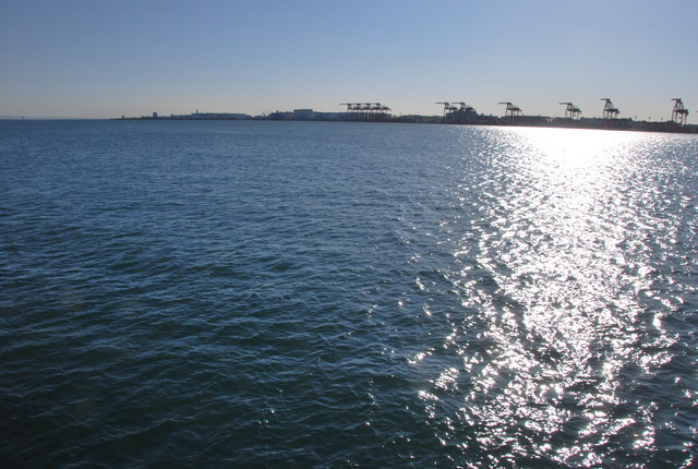 b0174068_2257525.jpg