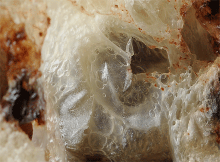 c0196673_905949.gif