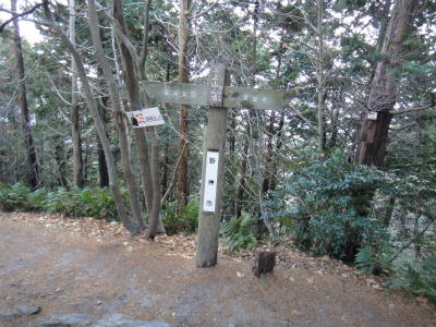 d0182075_1444555.jpg