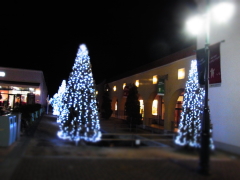 f0155381_22544136.jpg