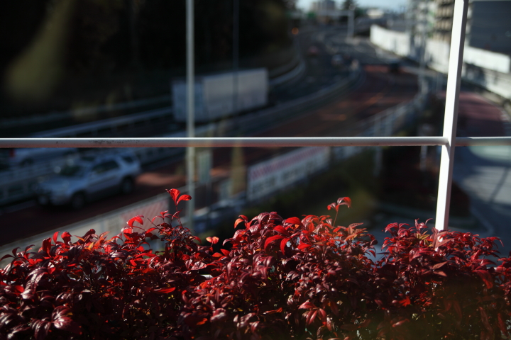 f0164989_2349952.jpg