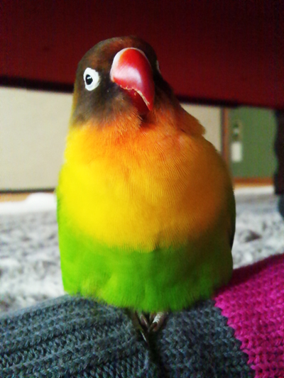 a0112595_21403845.jpg