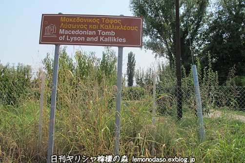 c0010496_20234686.jpg