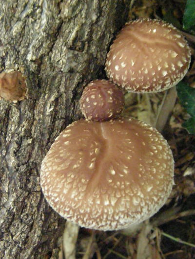 e0017396_2133503.jpg