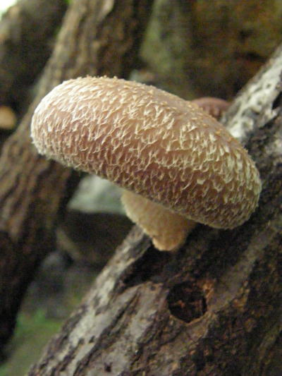 e0017396_2134223.jpg