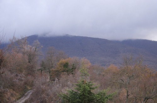 f0106597_23121477.jpg