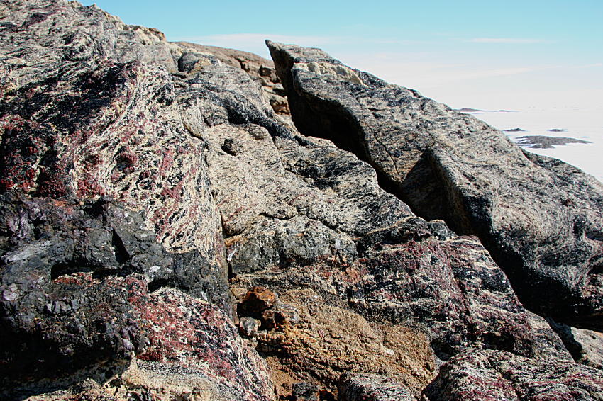 c0193901_2455568.jpg