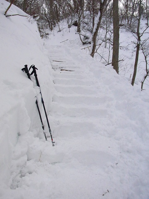 f0157901_18105299.jpg