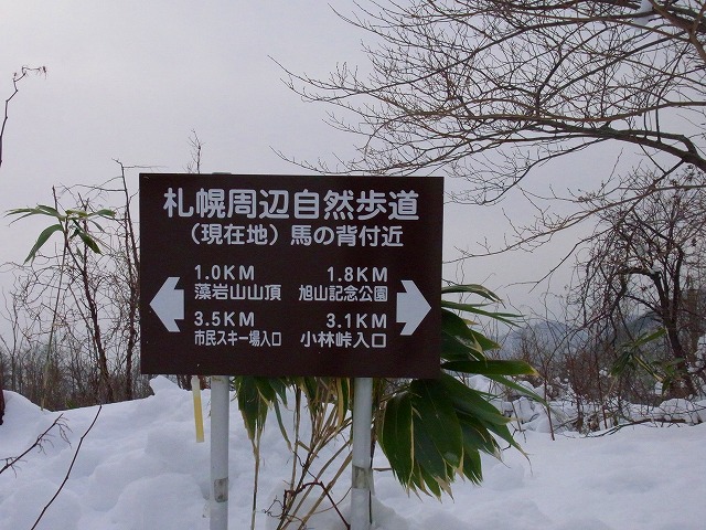 f0157901_18115556.jpg