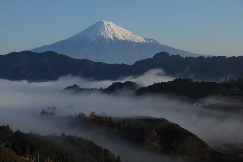 a0188405_15503686.jpg