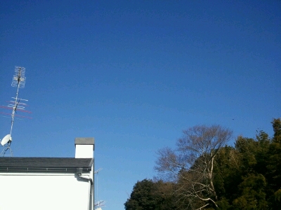 e0261315_16474621.jpg