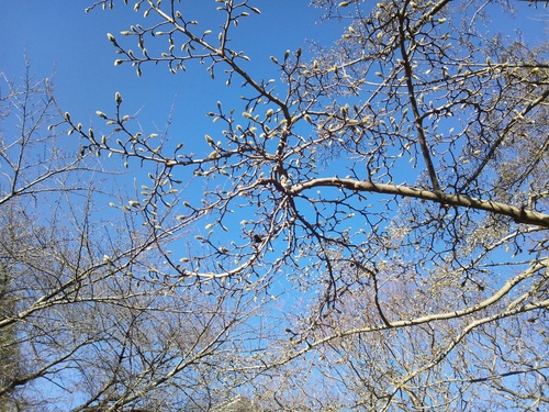 c0150520_2164385.jpg