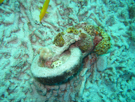 f0041021_13412631.jpg