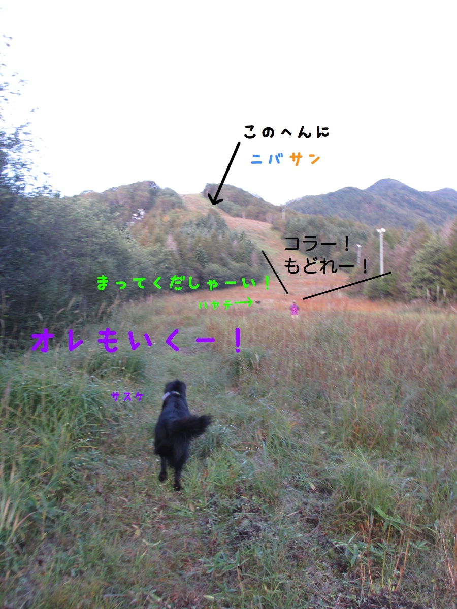 c0237824_12495817.jpg