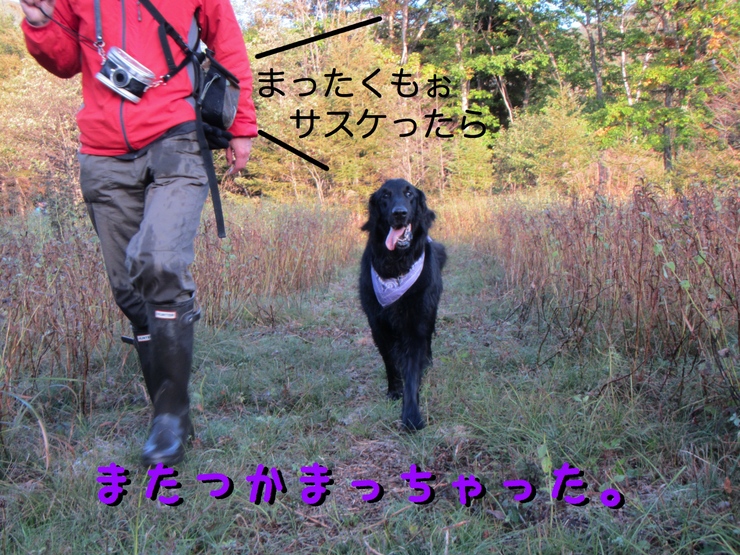 c0237824_12503540.jpg