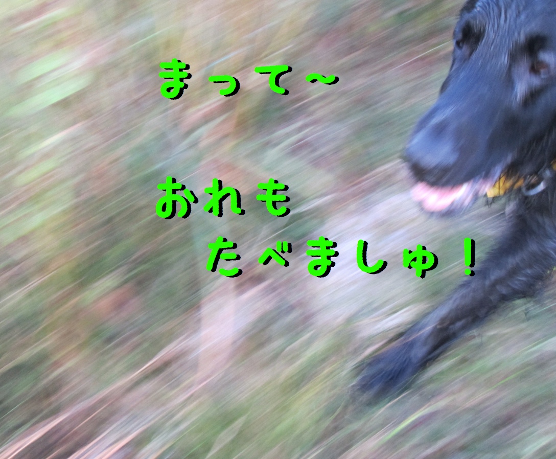 c0237824_12515329.jpg