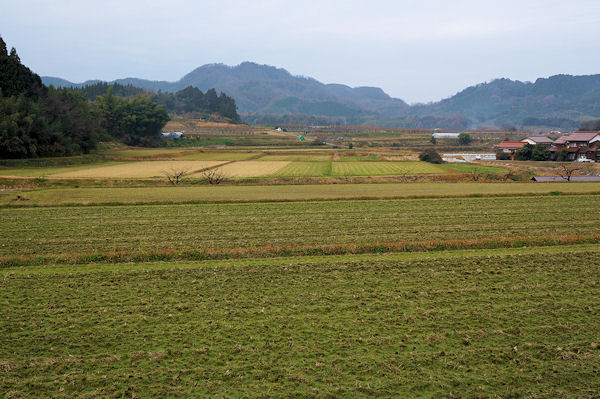 f0007926_12244778.jpg