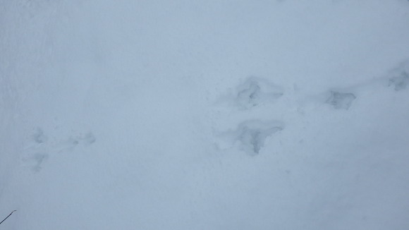 f0118332_17102161.jpg