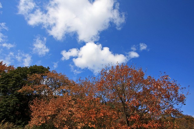 a0242438_19463378.jpg