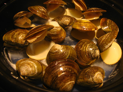 d0143739_0331530.jpg